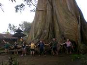 Reise nach Singapur und Bali 2017