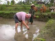 Reise nach Singapur und Bali 2017