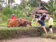 Reise nach Singapur und Bali 2017