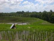 Reise nach Singapur und Bali 2017