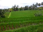 Reise nach Singapur und Bali 2017