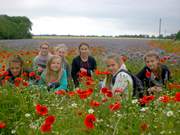 Ostsee-Feriencamp Rügen 2017
