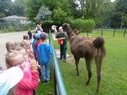 Vorschulkinder im Eilenburger Tierpark 2017