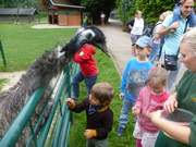 Vorschulkinder im Eilenburger Tierpark 2017