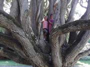 Ostseeferiencamp 2019