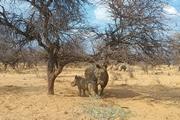 Namibia-Projekt - 2. Besuch
