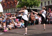 Stadtfest in Bad Düben 2011